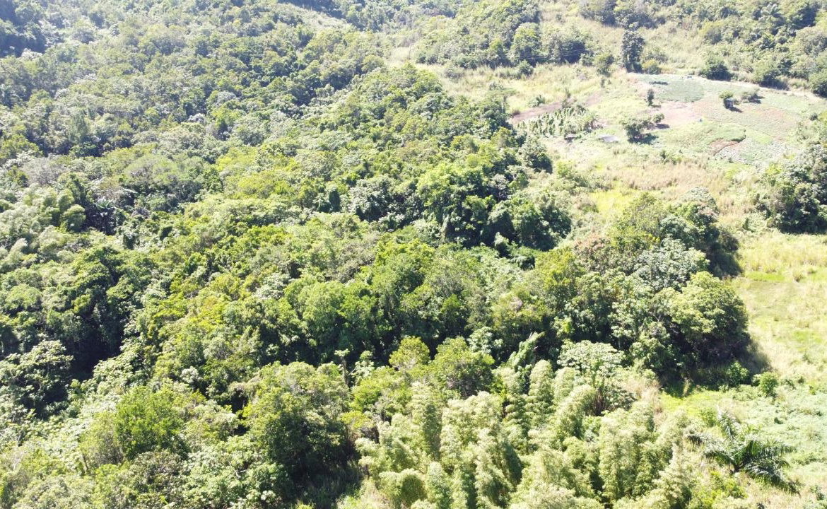 Tenth image of Southfield in Runaway Bay, St. Ann, Jamaica - property is For Sale