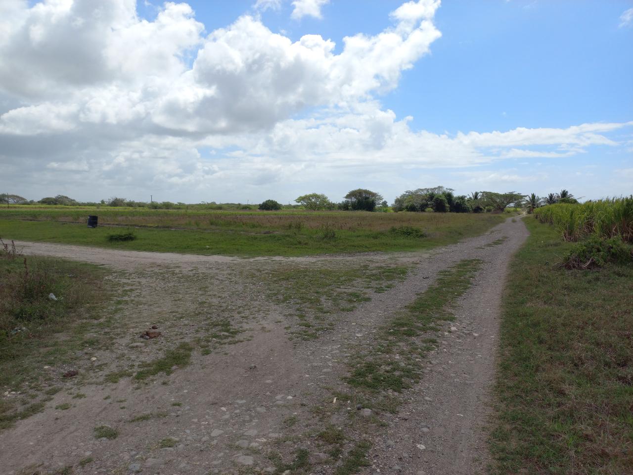 Second image of Lot-82 Rhymesbury in Rhymesbury, Clarendon, Jamaica - property is For Sale