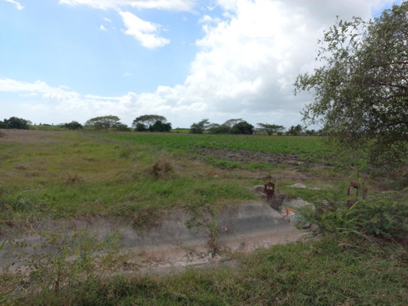 Third image of Lot-82 Rhymesbury in Rhymesbury, Clarendon, Jamaica - property is For Sale