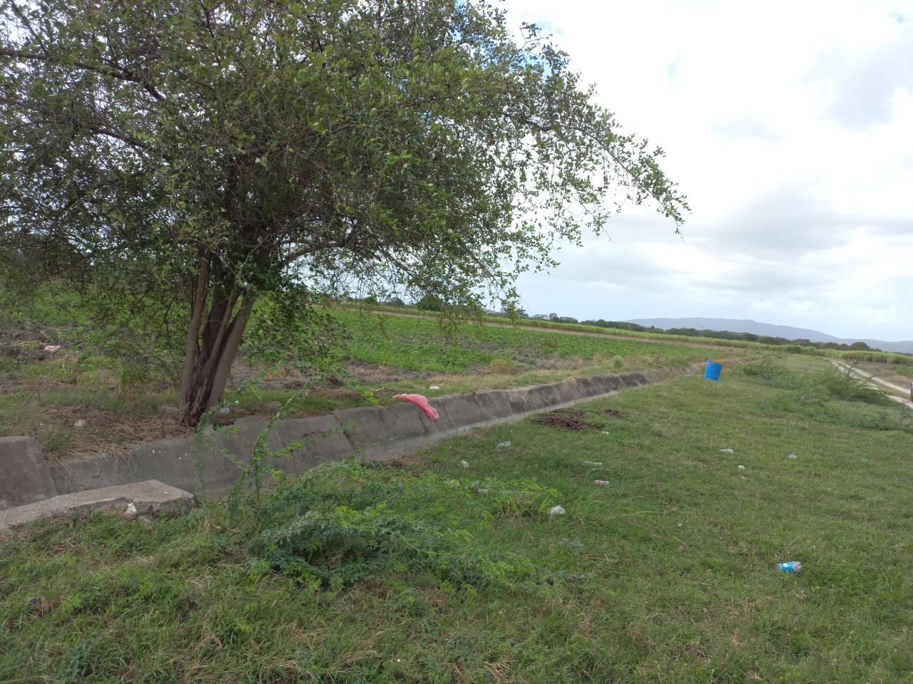 Fourth image of Lot-82 Rhymesbury in Rhymesbury, Clarendon, Jamaica - property is For Sale