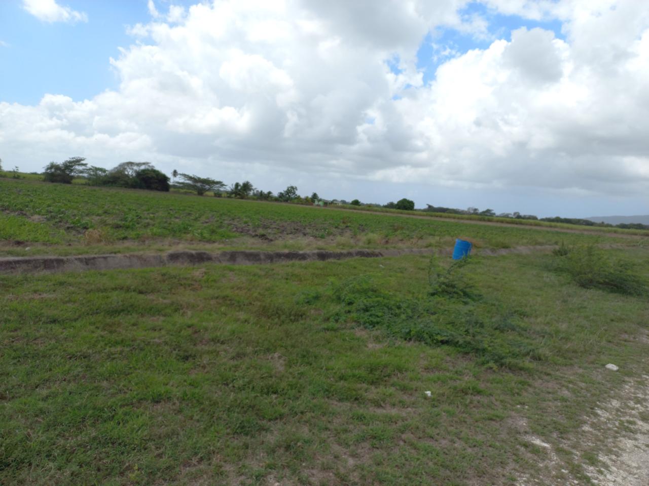 Fifth image of Lot-82 Rhymesbury in Rhymesbury, Clarendon, Jamaica - property is For Sale