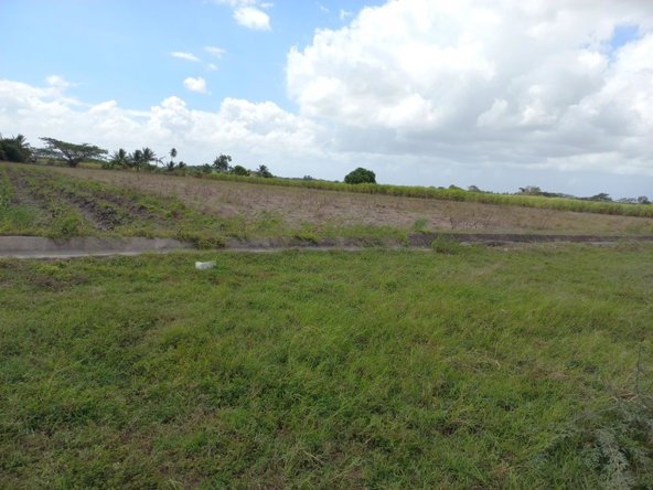 Sixth image of Lot-82 Rhymesbury in Rhymesbury, Clarendon, Jamaica - property is For Sale