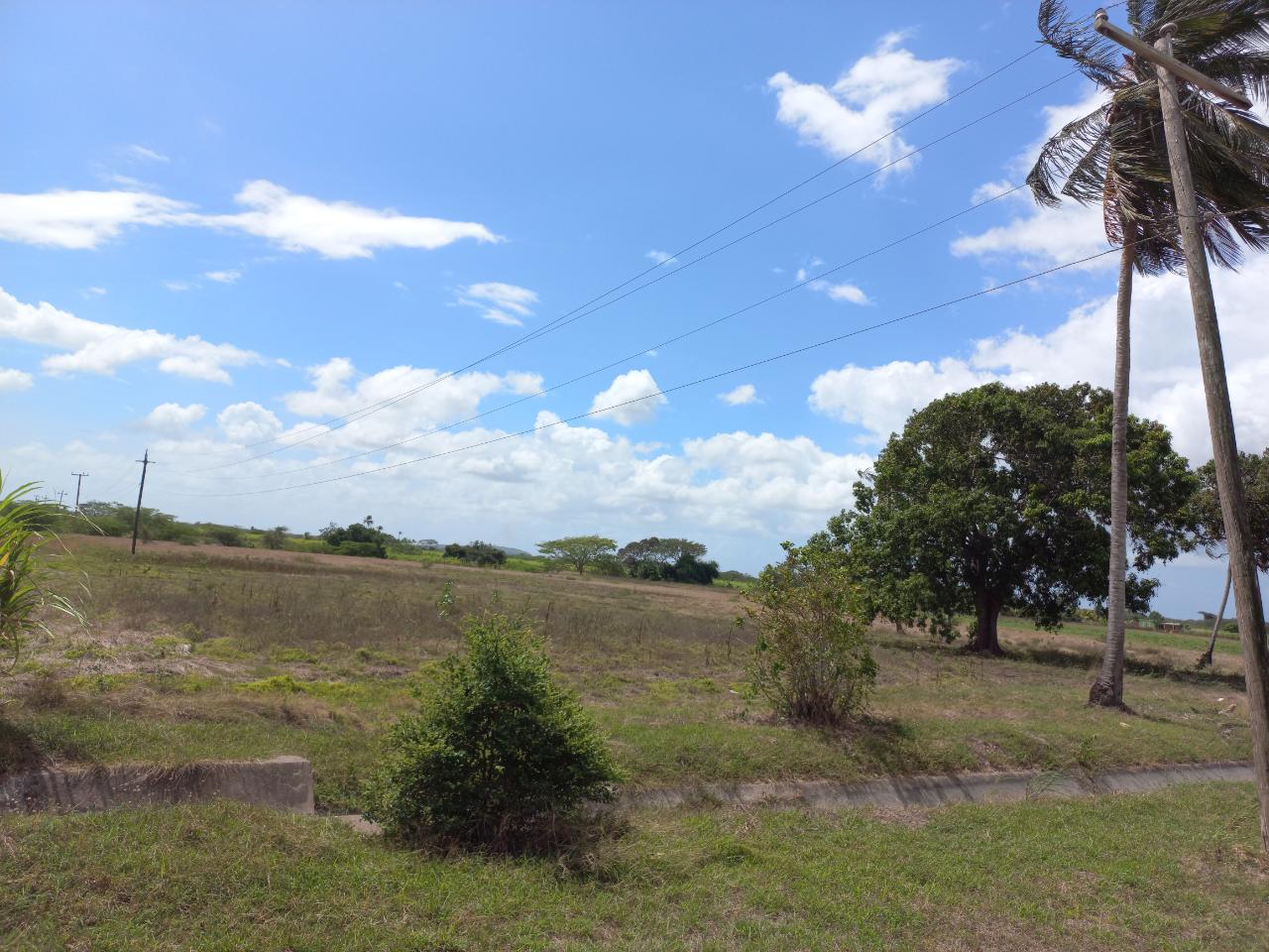 Seventh image of Lot-82 Rhymesbury in Rhymesbury, Clarendon, Jamaica - property is For Sale