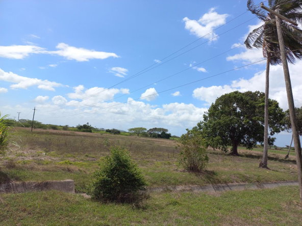 Seventh image of Lot-82 Rhymesbury in Rhymesbury, Clarendon, Jamaica - property is For Sale