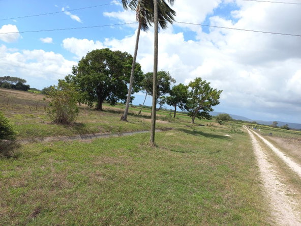 Eighth image of Lot-82 Rhymesbury in Rhymesbury, Clarendon, Jamaica - property is For Sale