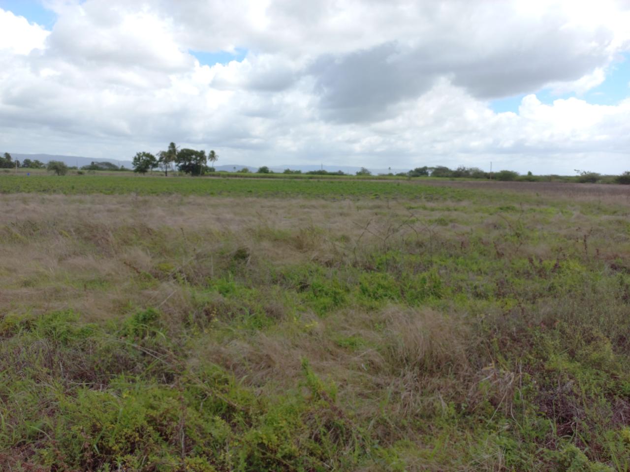 Ninth image of Lot-82 Rhymesbury in Rhymesbury, Clarendon, Jamaica - property is For Sale