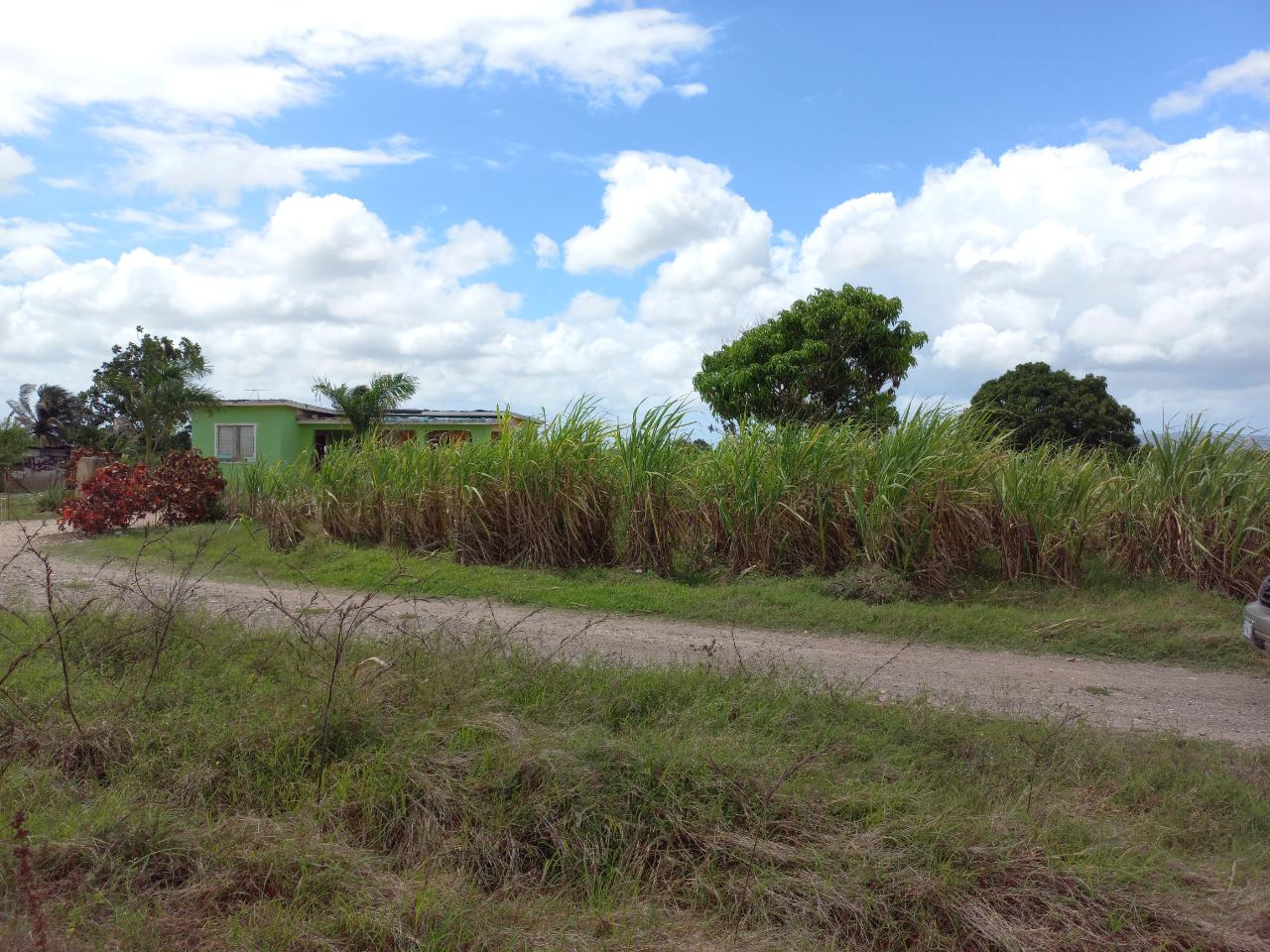 Tenth image of Lot-82 Rhymesbury in Rhymesbury, Clarendon, Jamaica - property is For Sale