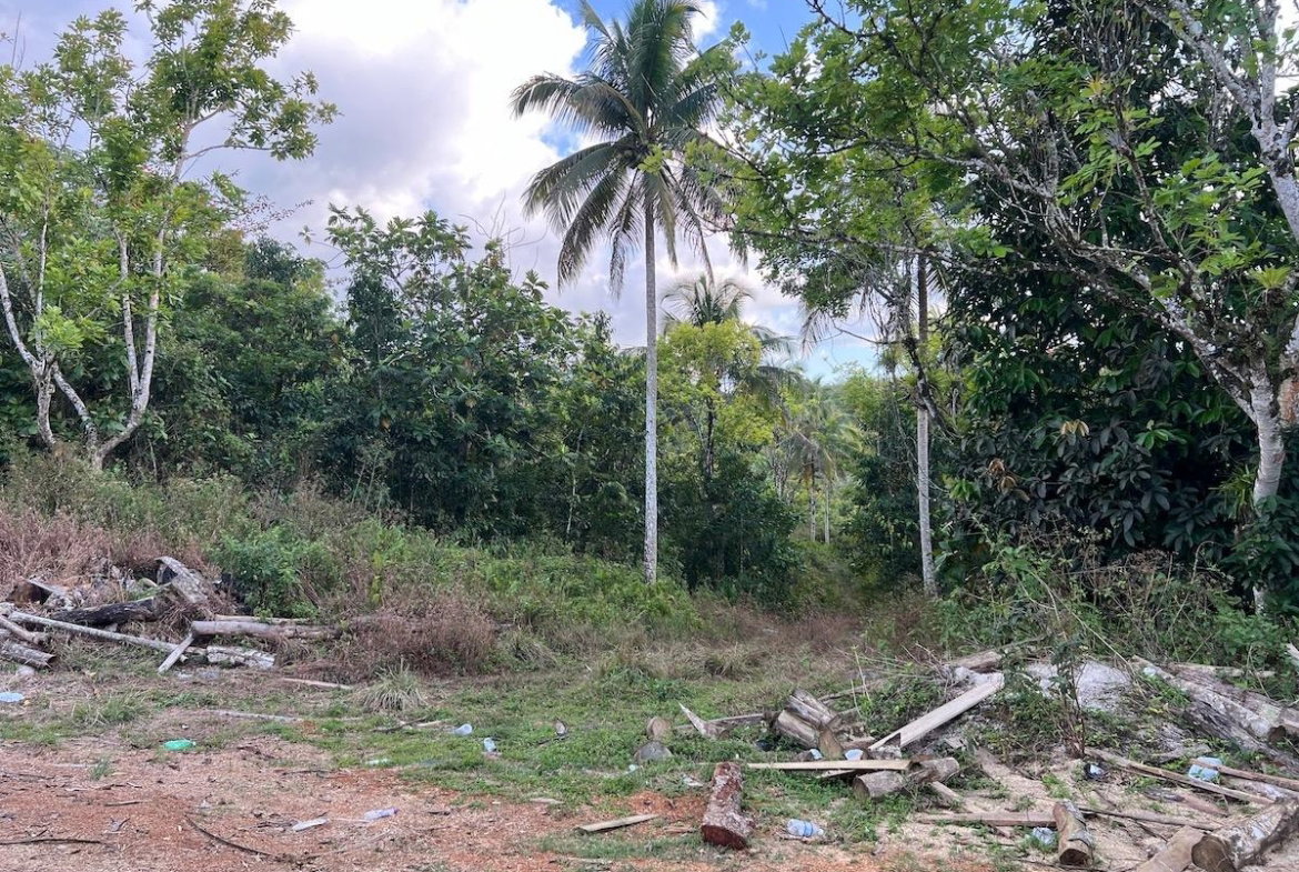 Eleventh image of Haddo, Westmoreland in Haddo, Westmoreland, Jamaica - property is For Sale