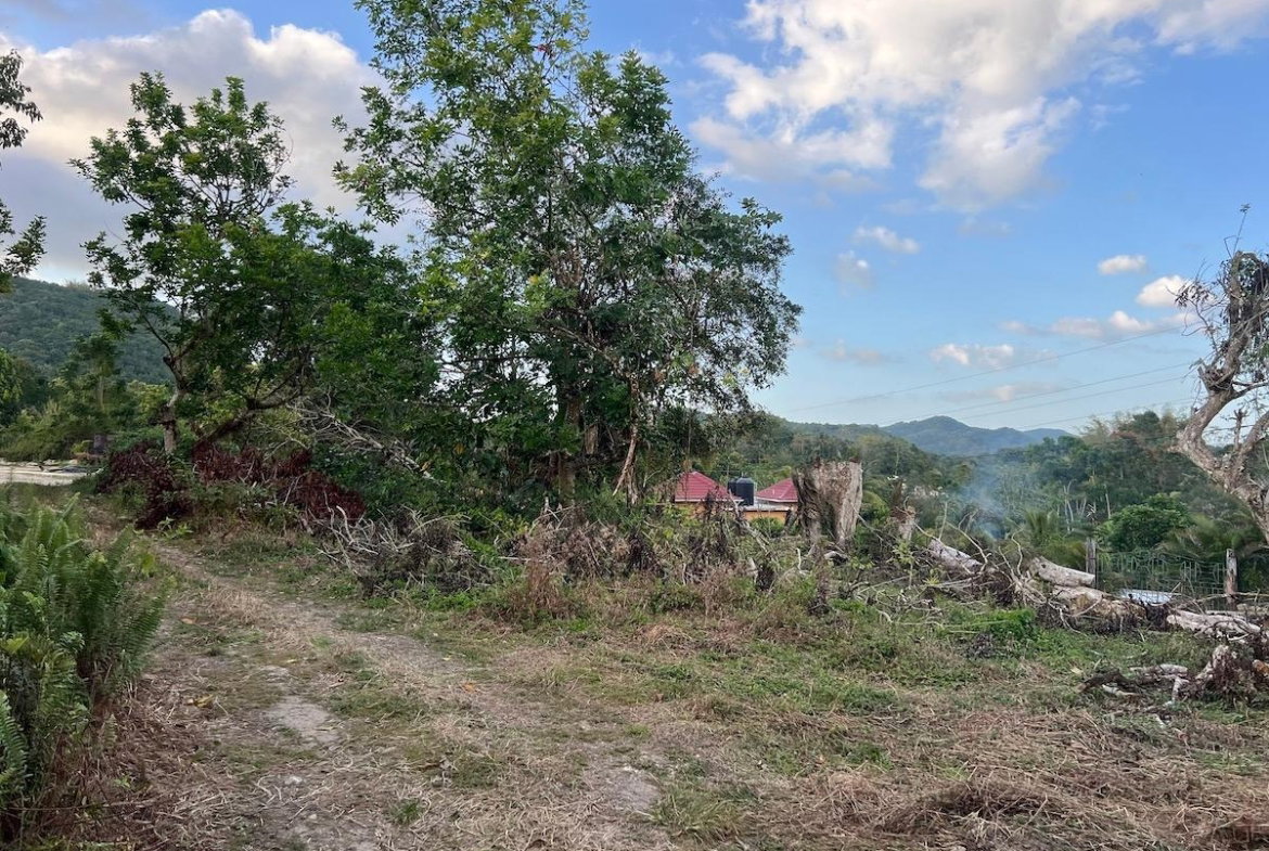 Twelfth image of Haddo, Westmoreland in Haddo, Westmoreland, Jamaica - property is For Sale