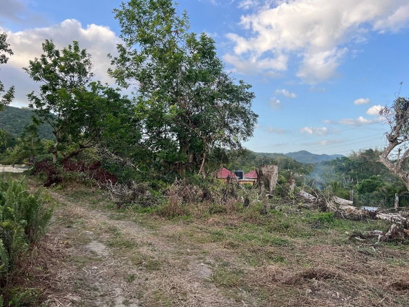 Twelfth image of Haddo, Westmoreland in Haddo, Westmoreland, Jamaica - property is For Sale