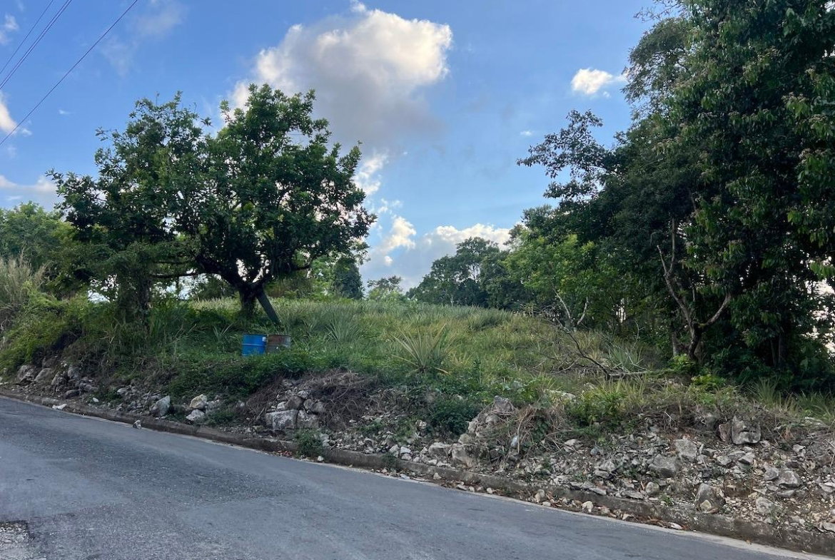 First image of Haddo, Westmoreland in Haddo, Westmoreland, Jamaica - property is For Sale