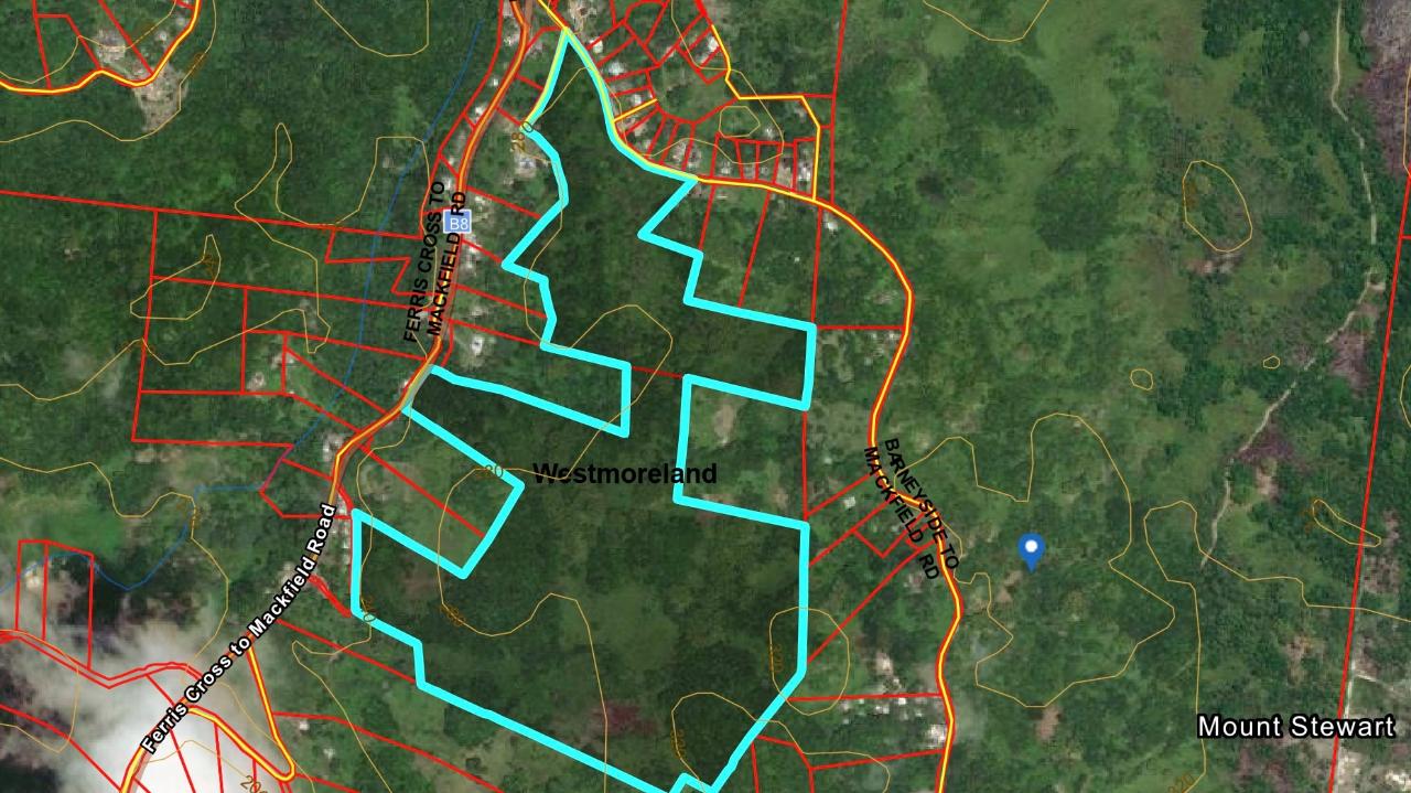 80-Acres-of-Prime-Development-Land-for-Sale-in-Haddo-Westmoreland Thirteenth image of Haddo, Westmoreland in Haddo, Westmoreland, Jamaica - property is For Sale