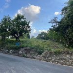 First image of Haddo, Westmoreland in Haddo, Westmoreland, Jamaica - property is For Sale