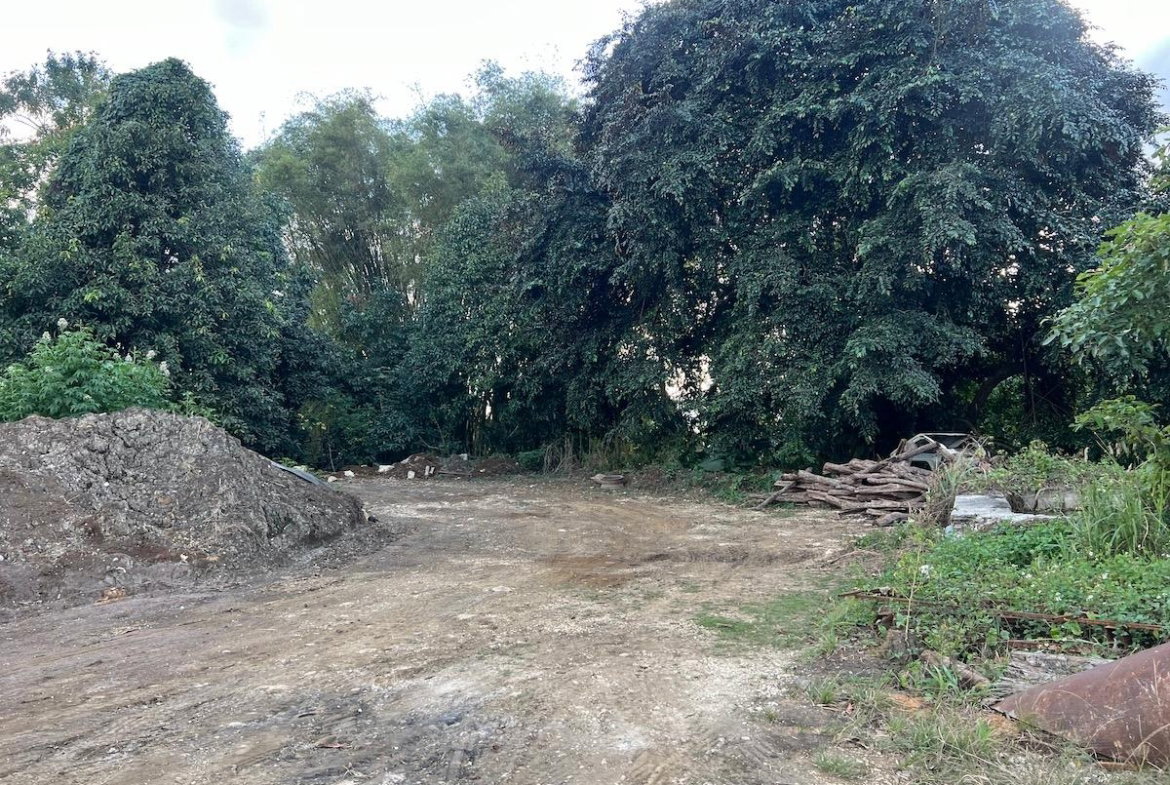 Fifth image of Haddo, Westmoreland in Haddo, Westmoreland, Jamaica - property is For Sale