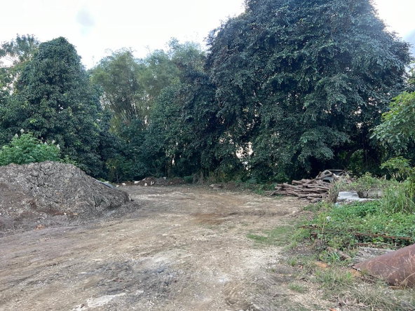 Fifth image of Haddo, Westmoreland in Haddo, Westmoreland, Jamaica - property is For Sale