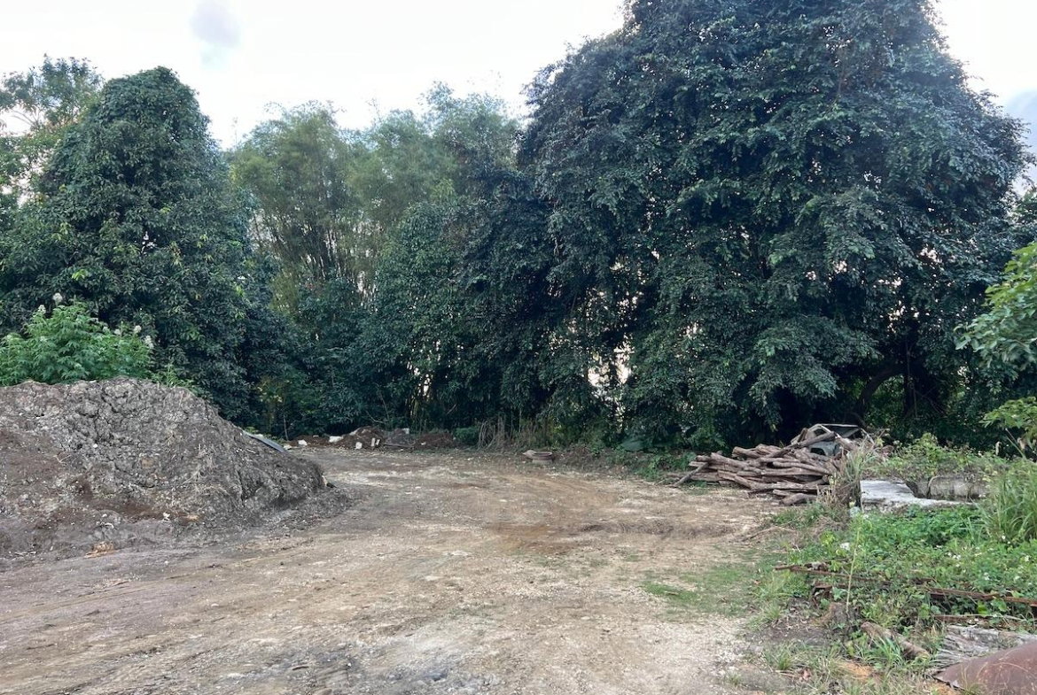 Sixth image of Haddo, Westmoreland in Haddo, Westmoreland, Jamaica - property is For Sale