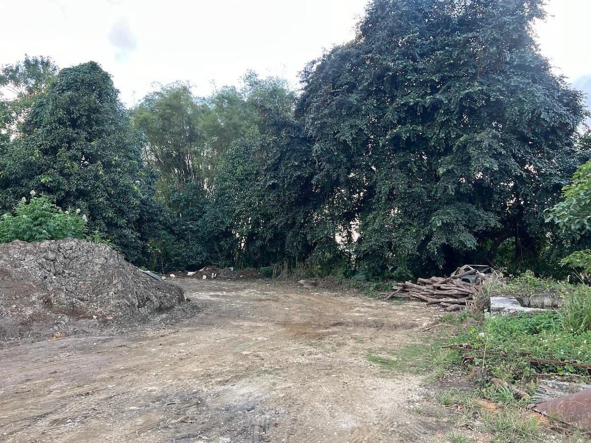 80-Acres-of-Prime-Development-Land-for-Sale-in-Haddo-Westmoreland Sixth image of Haddo, Westmoreland in Haddo, Westmoreland, Jamaica - property is For Sale