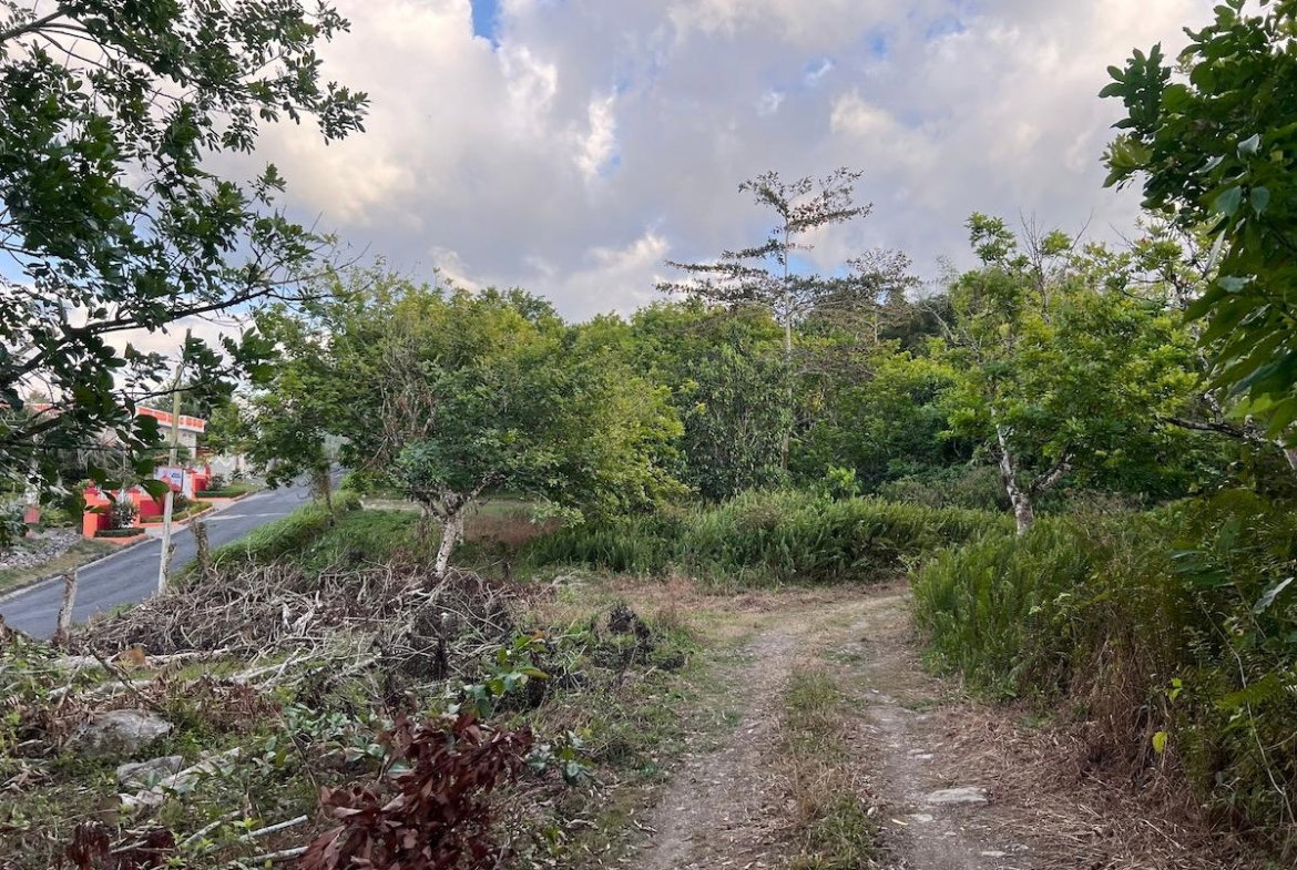 Seventh image of Haddo, Westmoreland in Haddo, Westmoreland, Jamaica - property is For Sale
