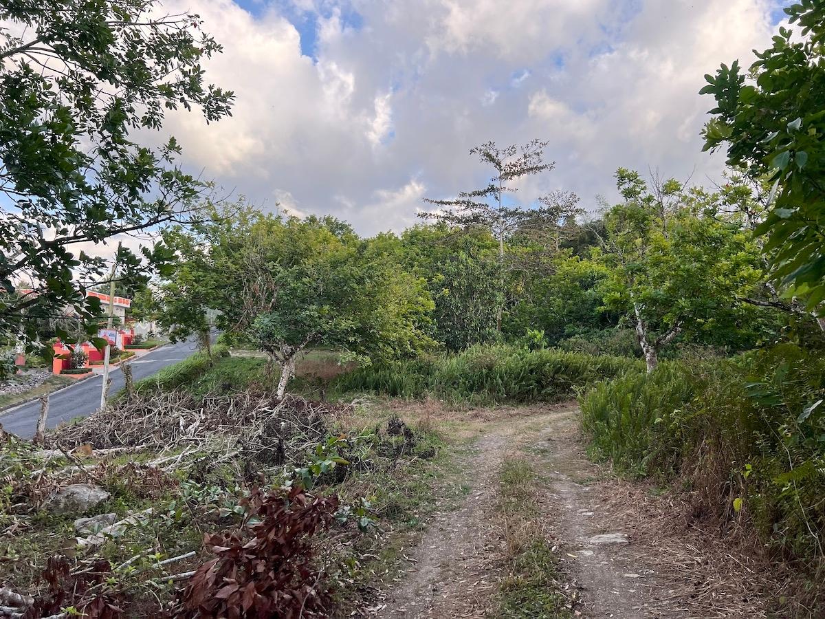 80-Acres-of-Prime-Development-Land-for-Sale-in-Haddo-Westmoreland Seventh image of Haddo, Westmoreland in Haddo, Westmoreland, Jamaica - property is For Sale