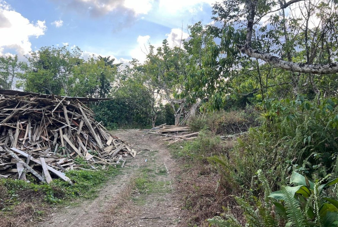 Eighth image of Haddo, Westmoreland in Haddo, Westmoreland, Jamaica - property is For Sale
