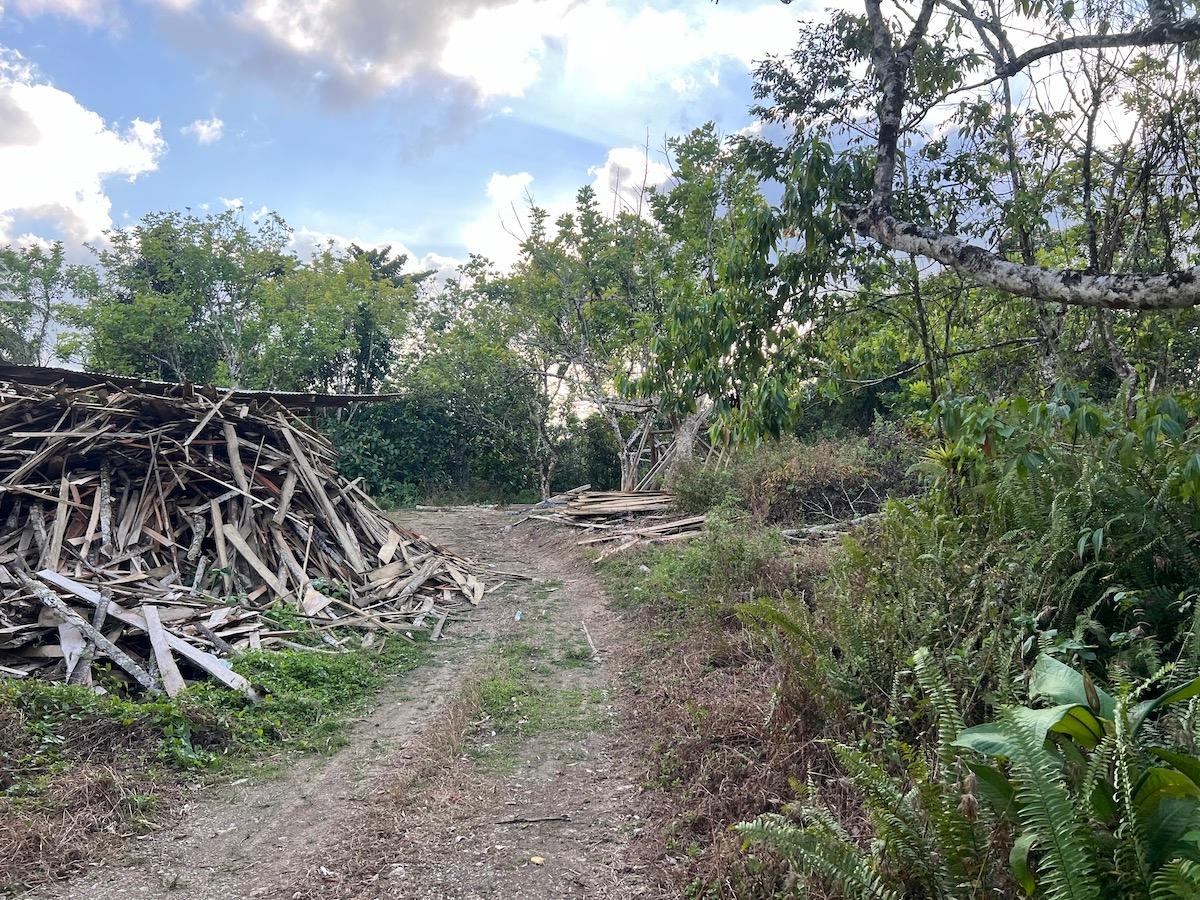 80-Acres-of-Prime-Development-Land-for-Sale-in-Haddo-Westmoreland Eighth image of Haddo, Westmoreland in Haddo, Westmoreland, Jamaica - property is For Sale
