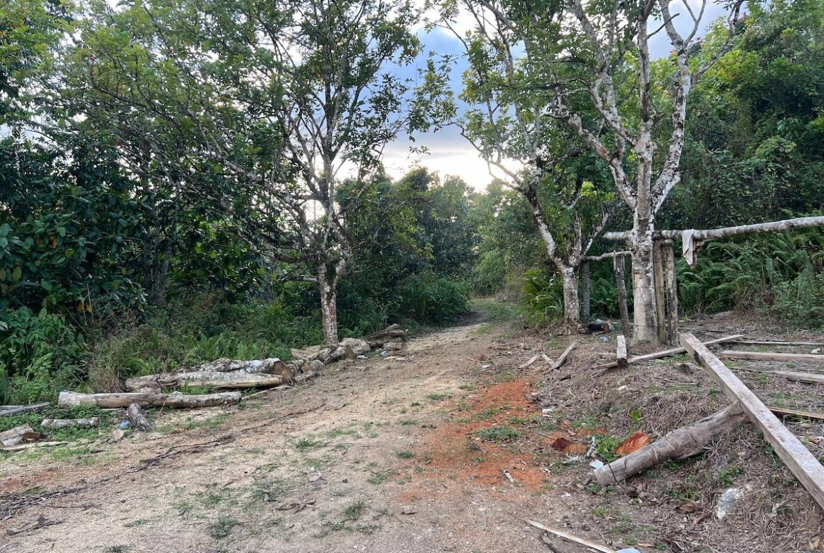 Ninth image of Haddo, Westmoreland in Haddo, Westmoreland, Jamaica - property is For Sale