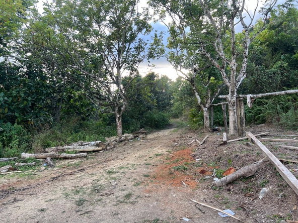 Ninth image of Haddo, Westmoreland in Haddo, Westmoreland, Jamaica - property is For Sale