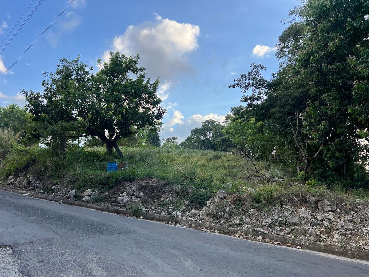 80-Acres-of-Prime-Development-Land-for-Sale-in-Haddo-Westmoreland First image of Haddo, Westmoreland in Haddo, Westmoreland, Jamaica - property is For Sale