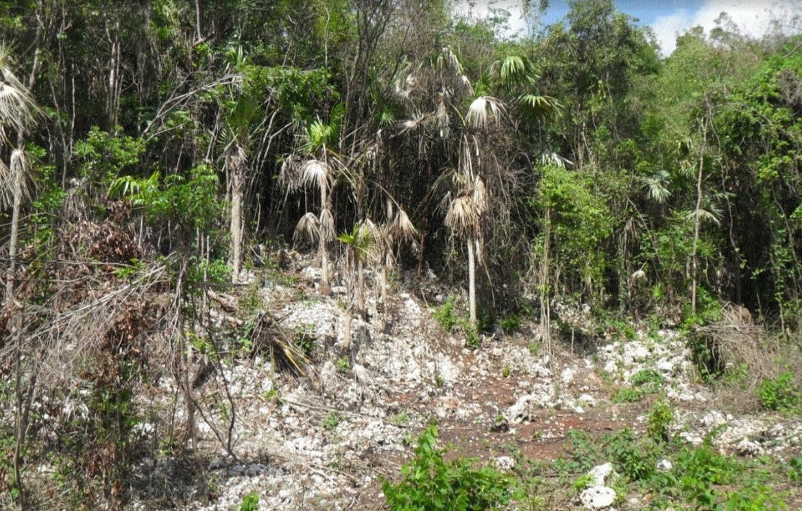 Third image of Top Mountain, Kitson Town in KITSON TOWN, St. Catherine, Jamaica - property is For Sale