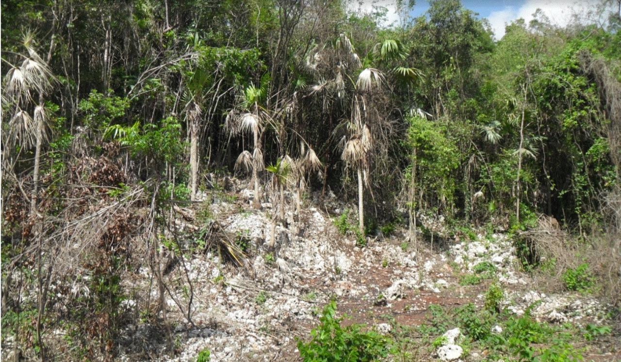Third image of Top Mountain, Kitson Town in KITSON TOWN, St. Catherine, Jamaica - property is For Sale