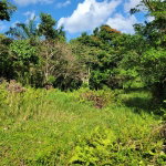 First image of Part of Mammee Ridge in Mammee Ridge, St. Ann, Jamaica - property is For Sale