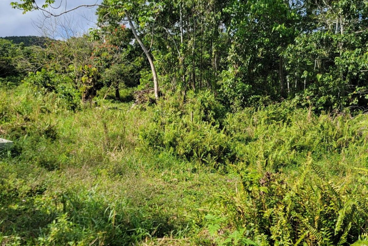Fourth image of Part of Mammee Ridge in Mammee Ridge, St. Ann, Jamaica - property is For Sale