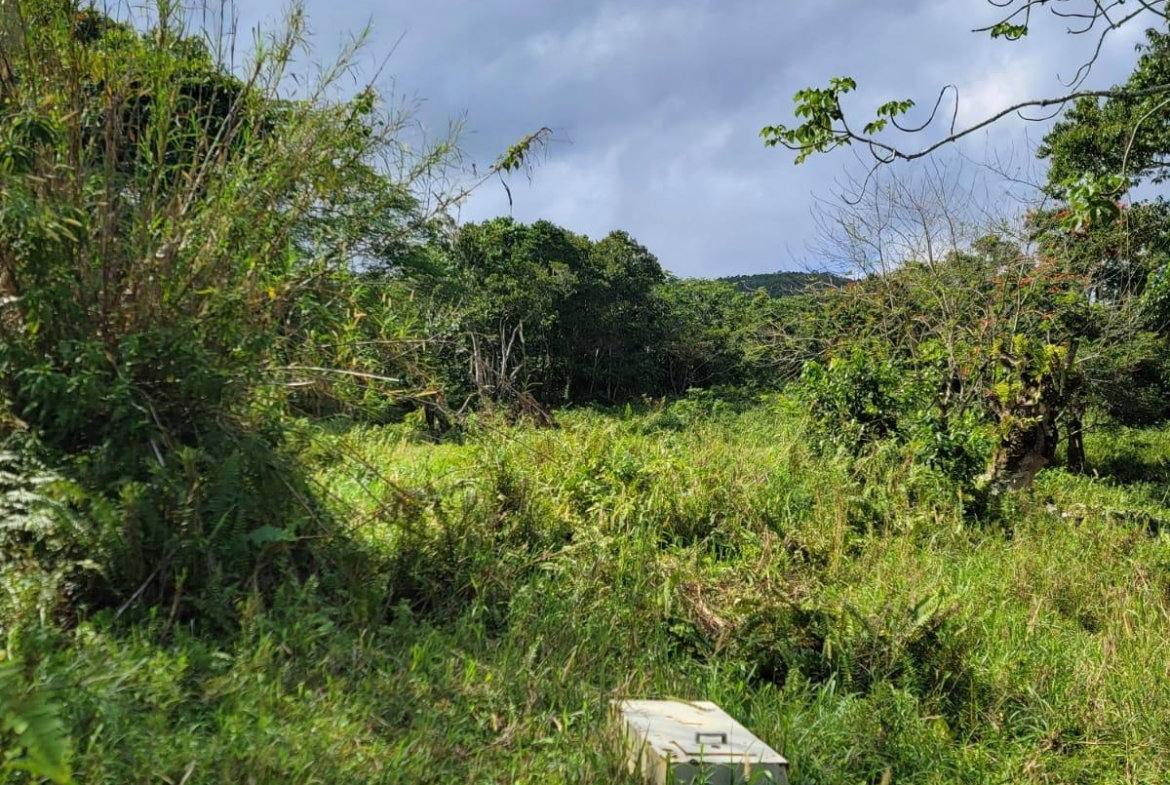 Fifth image of Part of Mammee Ridge in Mammee Ridge, St. Ann, Jamaica - property is For Sale