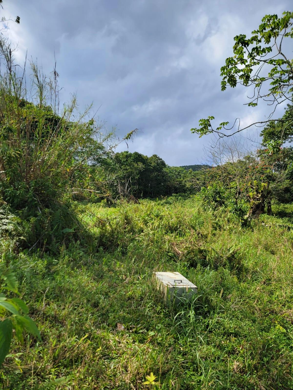 Fifth image of Part of Mammee Ridge in Mammee Ridge, St. Ann, Jamaica - property is For Sale