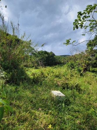 Fifth image of Part of Mammee Ridge in Mammee Ridge, St. Ann, Jamaica - property is For Sale
