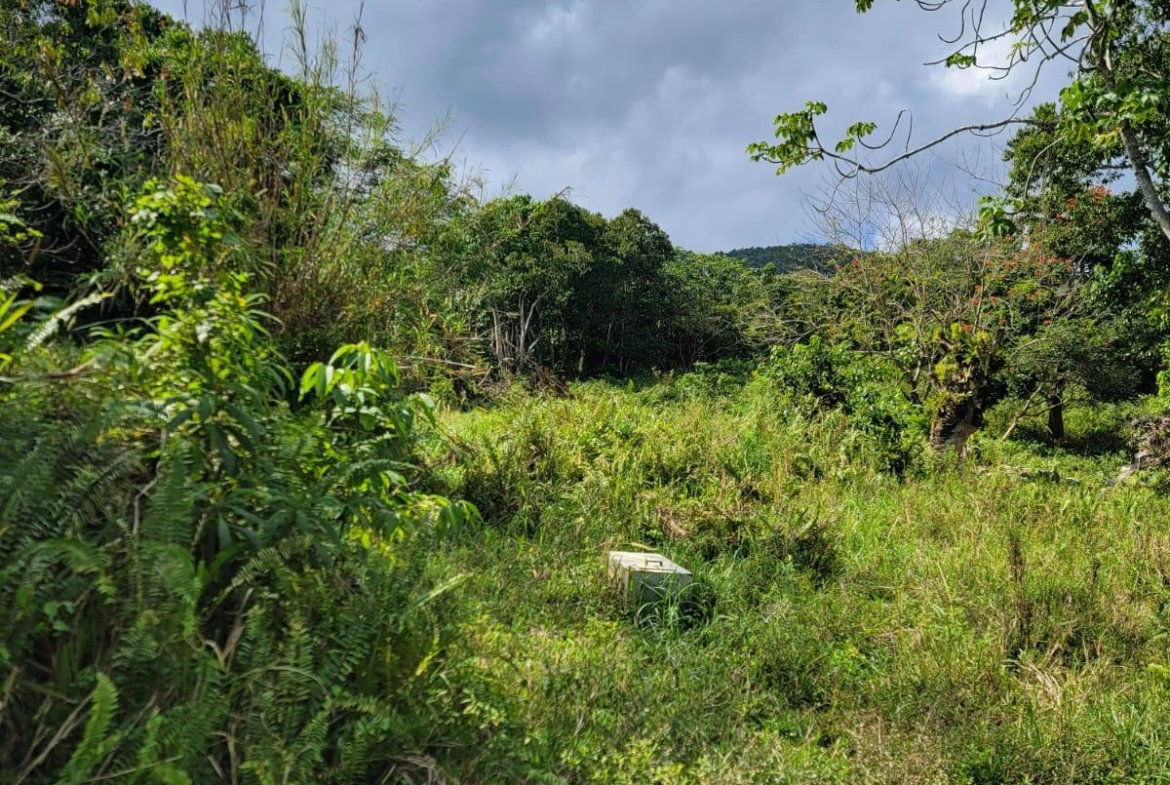 Sixth image of Part of Mammee Ridge in Mammee Ridge, St. Ann, Jamaica - property is For Sale