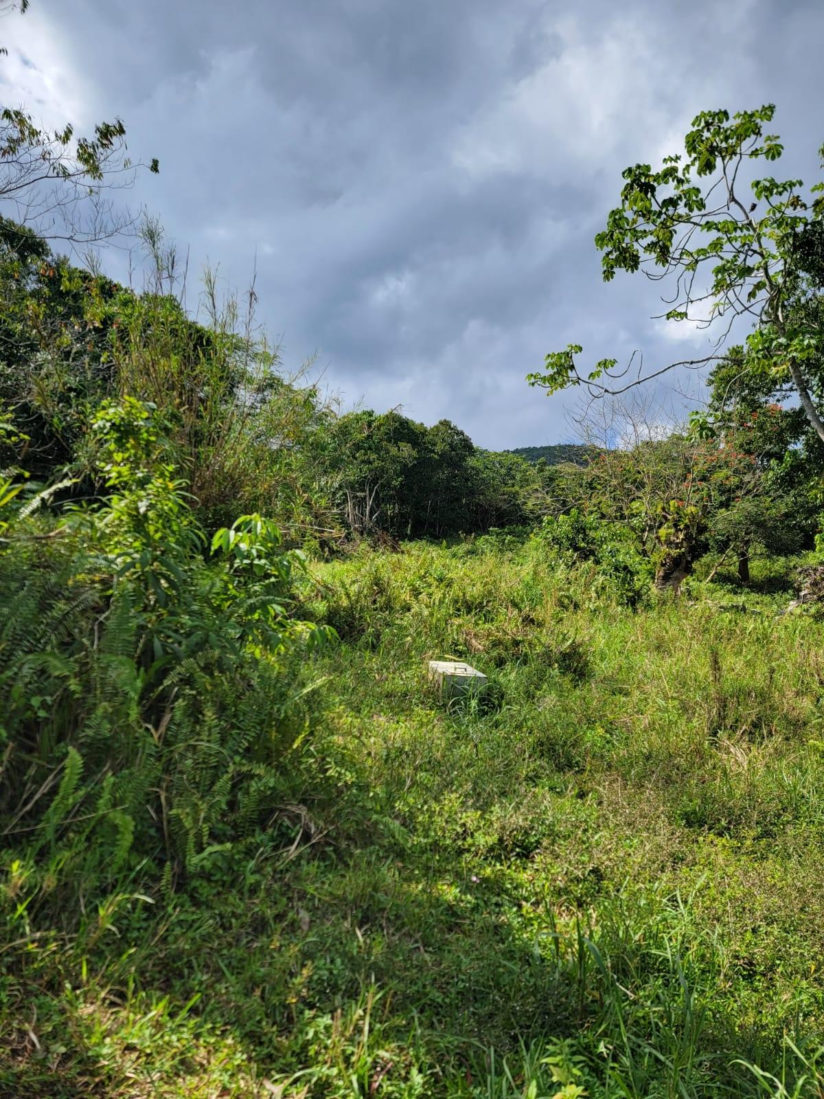Sixth image of Part of Mammee Ridge in Mammee Ridge, St. Ann, Jamaica - property is For Sale