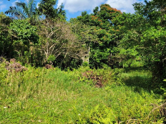 First image of Part of Mammee Ridge in Mammee Ridge, St. Ann, Jamaica - property is For Sale
