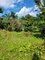 First image of Part of Mammee Ridge in Mammee Ridge, St. Ann, Jamaica - property is For Sale