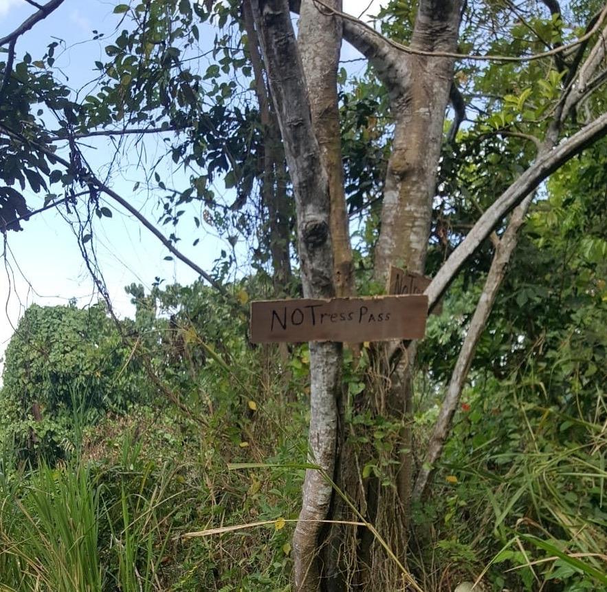 Second image of Lot 10 Georgia Pen, Annotto Bay, in Annotto Bay, St. Mary, Jamaica - property is For Sale