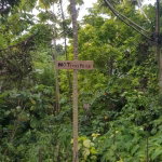 First image of Lot 10 Georgia Pen, Annotto Bay, in Annotto Bay, St. Mary, Jamaica - property is For Sale