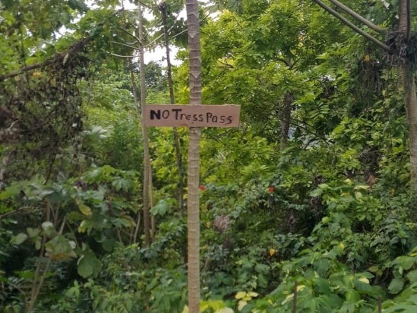 First image of Lot 10 Georgia Pen, Annotto Bay, in Annotto Bay, St. Mary, Jamaica - property is For Sale