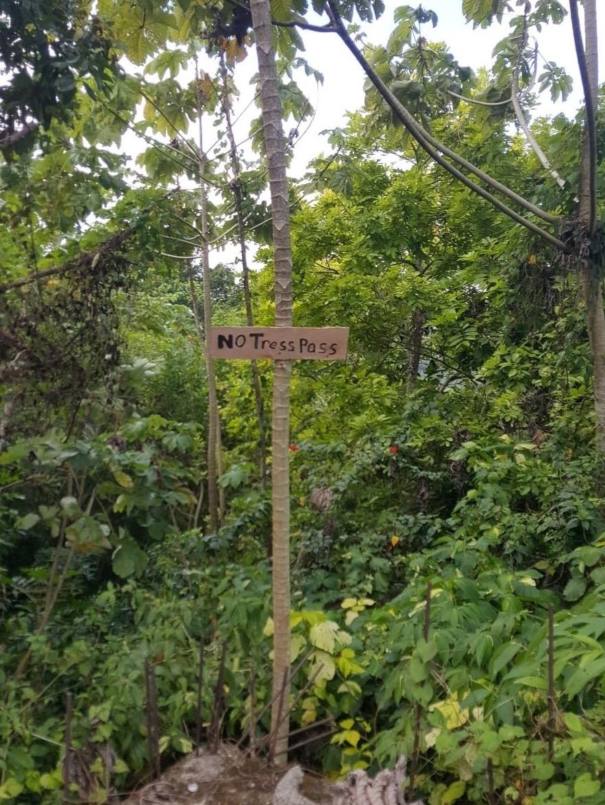 First image of Lot 10 Georgia Pen, Annotto Bay, in Annotto Bay, St. Mary, Jamaica - property is For Sale