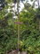 First image of Lot 10 Georgia Pen, Annotto Bay, in Annotto Bay, St. Mary, Jamaica - property is For Sale
