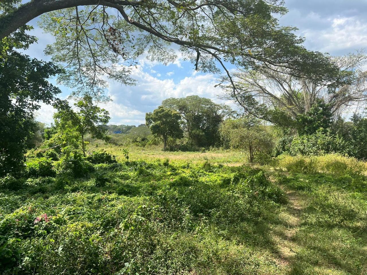 Third image of Juno Cresecent in May Pen, Clarendon, Jamaica - property is For Sale