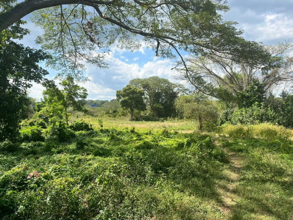 Third image of Juno Cresecent in May Pen, Clarendon, Jamaica - property is For Sale