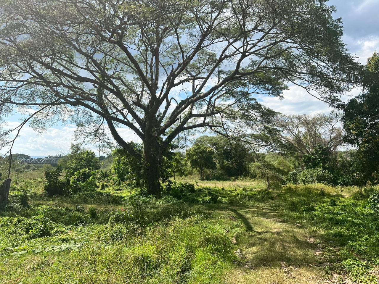 Fourth image of Juno Cresecent in May Pen, Clarendon, Jamaica - property is For Sale