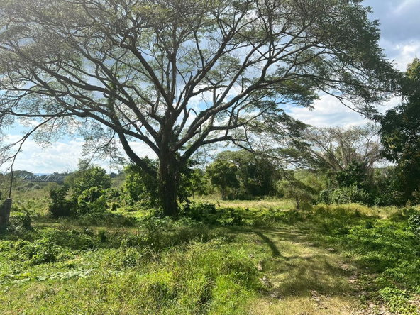 Fourth image of Juno Cresecent in May Pen, Clarendon, Jamaica - property is For Sale