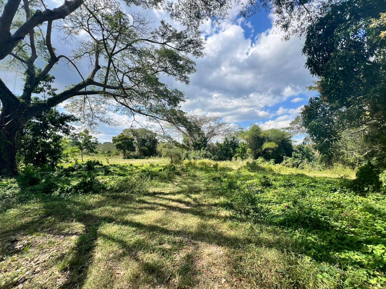 Fifth image of Juno Cresecent in May Pen, Clarendon, Jamaica - property is For Sale