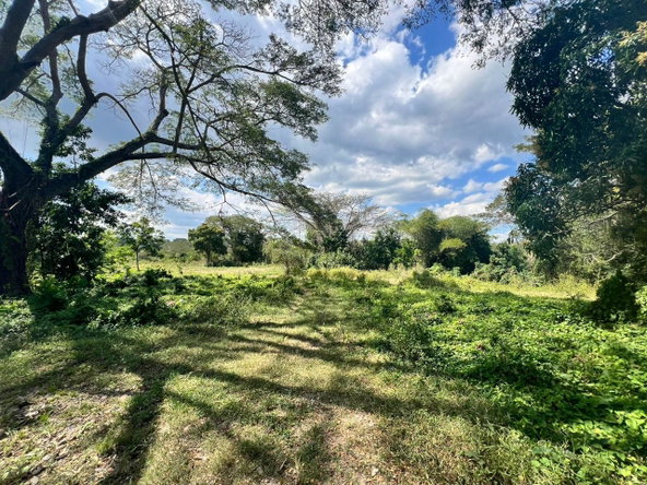 Fifth image of Juno Cresecent in May Pen, Clarendon, Jamaica - property is For Sale